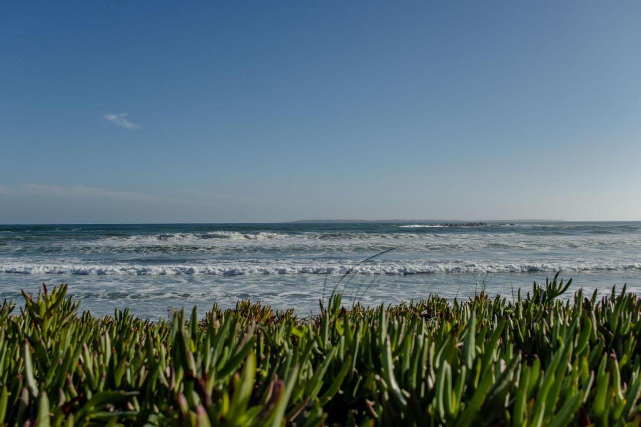 Blaauw Village Guest House Bloubergstrand Bagian luar foto